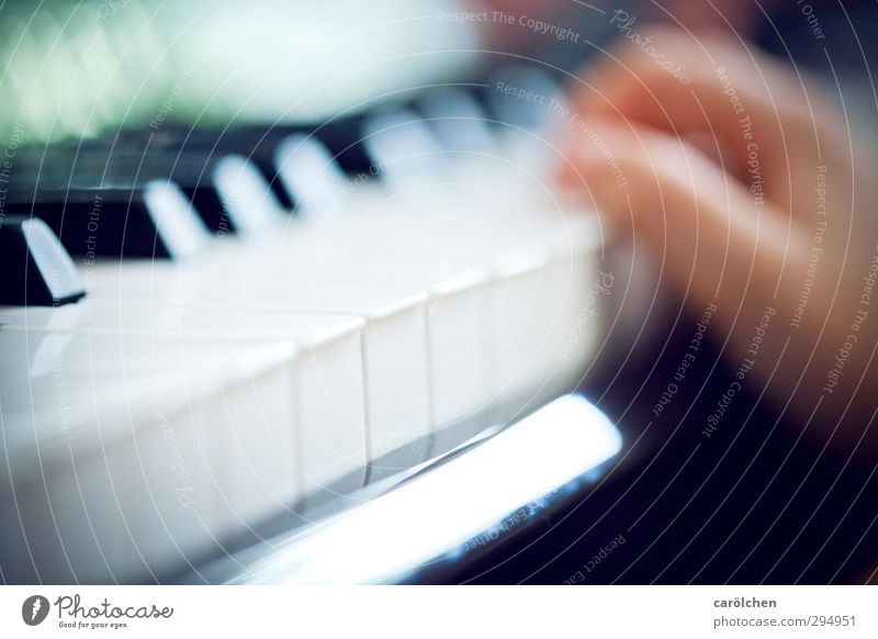Musik Klavier blau Klaviatur musizieren Musikschule Musikunterricht Farbfoto Innenaufnahme Detailaufnahme Makroaufnahme Menschenleer Schwache Tiefenschärfe