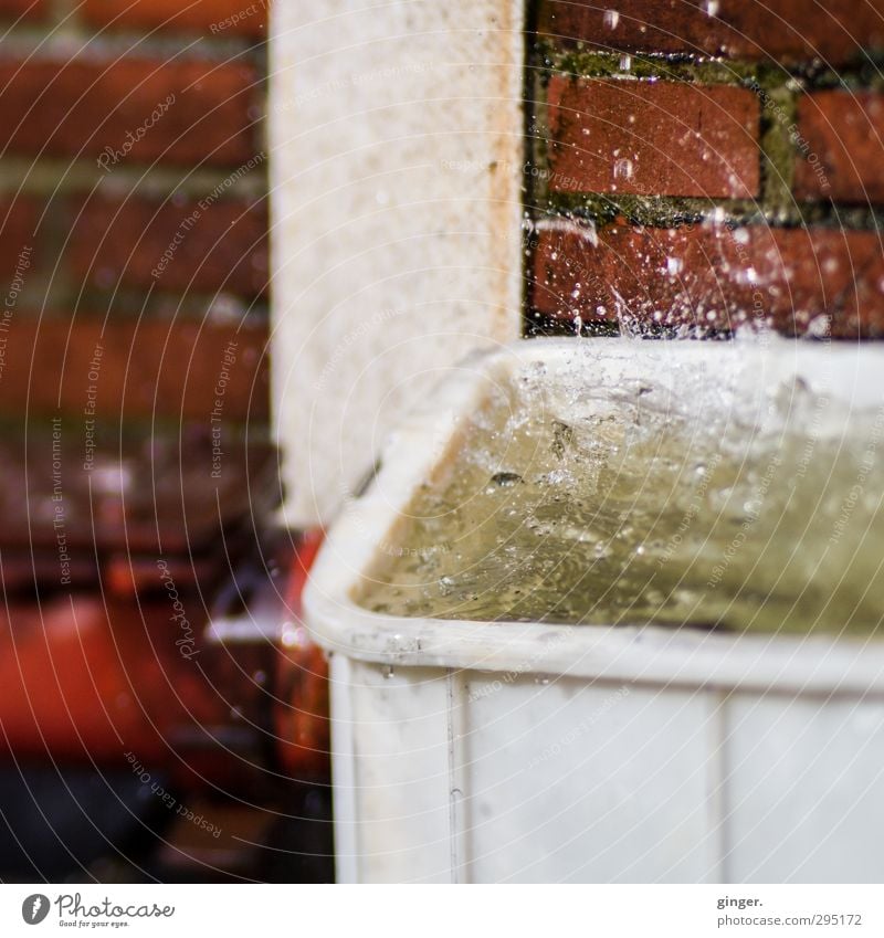 Köln [CW] 03/13 | Geschmolzene Schneeflocken Backstein Kunststoff Wasser Flüssigkeit glänzend schön nah rot springen platschen spritzen aufgewühlt Fuge Säule