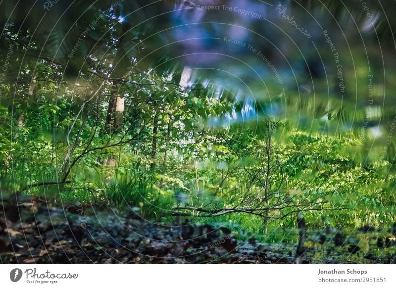 Spiegelung See im Wald - ein lizenzfreies Stock Foto von Photocase