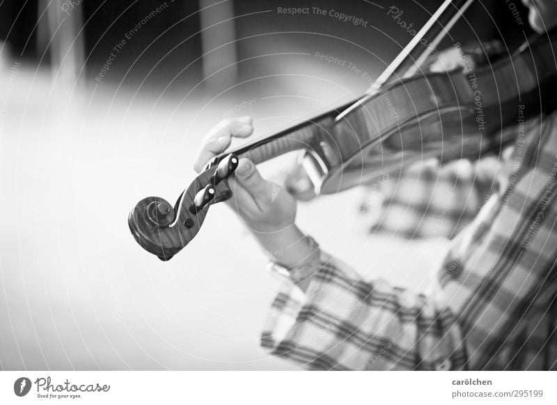 Musik Spielen Geige Streichinstrumente Hand greifen musizieren Musiker Musikinstrument Musikschule Musikunterricht Schwarzweißfoto Detailaufnahme