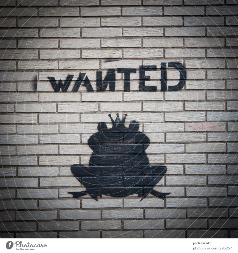 Bitte um sachdienliche Hinweise Subkultur Wand Backstein Piktogramm lustig Froschkönig Partnersuche Straßenkunst Märchen Vignettierung Comic Englisch