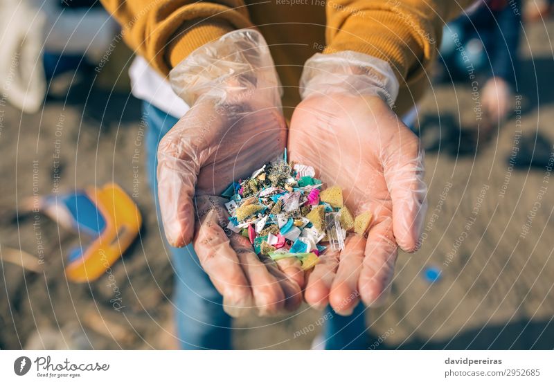 Hände mit Mikrokunststoffen am Strand Mensch Mann Erwachsene Hand Umwelt Sand Kunststoff alt gefährlich Teamwork Umweltverschmutzung mikroplastisch zeigen