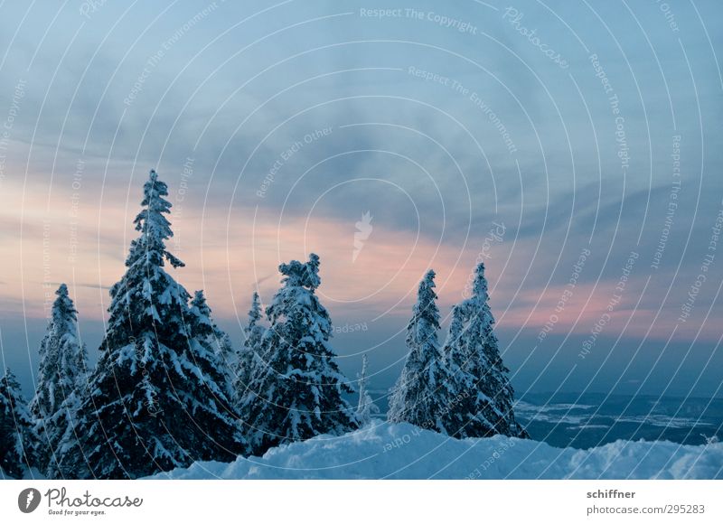 Ruhe Umwelt Natur Landschaft Pflanze Himmel Wolken Sonnenaufgang Sonnenuntergang Winter Eis Frost Schnee Baum Wald Berge u. Gebirge Gipfel Schneebedeckte Gipfel