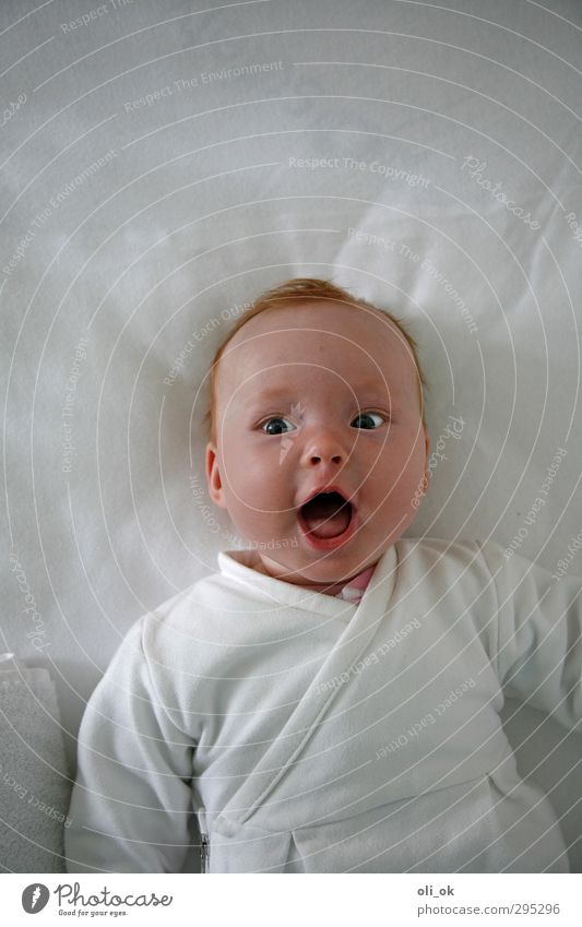 Spaß am Leben Mensch Baby Kopf 1 0-12 Monate lachen Blick Fröhlichkeit Glück klein weiß Freude Lebensfreude Farbfoto Innenaufnahme Textfreiraum oben Tag