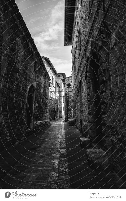 Strasse im Schatten Stimmung Außenaufnahme außergewöhnlich Perspektive Italien Toskana Florenz Pisa