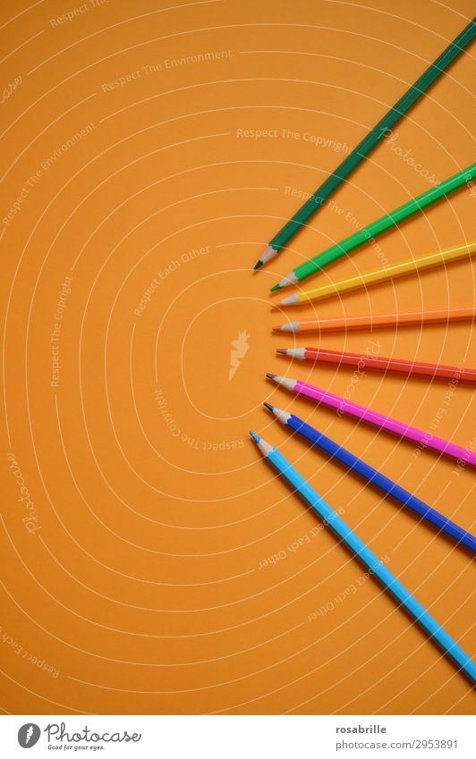 Farbfächer Freizeit & Hobby Bildung Erwachsenenbildung Arbeitsplatz Feierabend Kunst Schreibwaren Papier Schreibstift zeichnen ästhetisch Fröhlichkeit orange