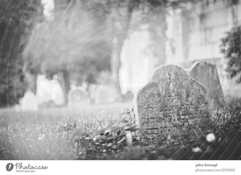 Alte Grabsteine | Venezia I Venedig Italien Hafenstadt Altstadt Friedhof Sehenswürdigkeit Stein Schriftzeichen dunkel historisch Romantik Mitgefühl trösten