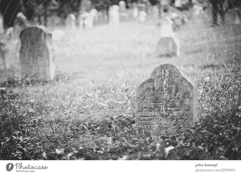 Alte Grabsteine | Venezia II Venedig Italien Friedhof Grabmal Sehenswürdigkeit Stein Schriftzeichen bedrohlich Bekanntheit dunkel historisch Mitgefühl friedlich