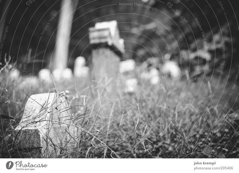 Alte Grabsteine | Venezia IV Venedig Italien Hafenstadt Altstadt Friedhof Sehenswürdigkeit dunkel gruselig historisch Mitgefühl trösten Traurigkeit Trauer Tod