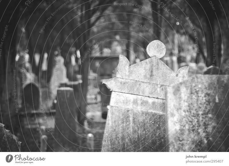 Alte Grabsteine | Venezia V Venedig Italien Altstadt Friedhof Sehenswürdigkeit Stein dunkel gruselig historisch Mitgefühl Güte trösten Traurigkeit Sorge Trauer