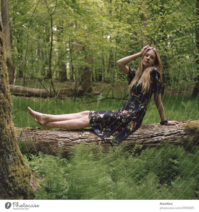 Junge Frau auf einem Baumstamm im Wald Stil schön Leben Ausflug Jugendliche Beine 18-30 Jahre Erwachsene Natur Pflanze Schönes Wetter Kleid Barfuß blond