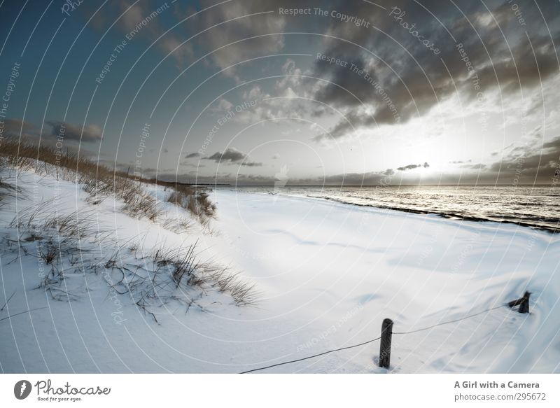 winter beach Umwelt Landschaft Himmel Wolken Winter Klima Klimawandel Wetter Schnee Küste Ostsee Weststrand außergewöhnlich kalt natürlich weiß ruhig