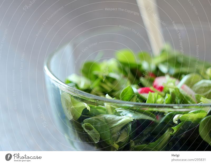 grüner Salat mit Radieschen in einer Glasschüssel Lebensmittel Salatbeilage Feldsalat Ernährung Mittagessen Bioprodukte Vegetarische Ernährung Diät
