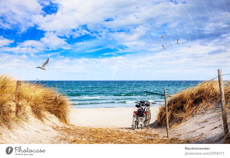 Mit dem Fahrrad die Ostsee erleben Lifestyle Ferien & Urlaub & Reisen Tourismus Ausflug Fahrradtour Sommerurlaub Sonne Strand Sand Wasser Wolken Schönes Wetter