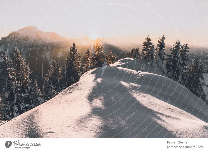 Sonnenuntergang am Tegelberg Berge u. Gebirge Natur Landschaft nur Himmel Sonnenaufgang Winter Schönes Wetter Wald Alpen wandern hell nachhaltig weiß Kraft