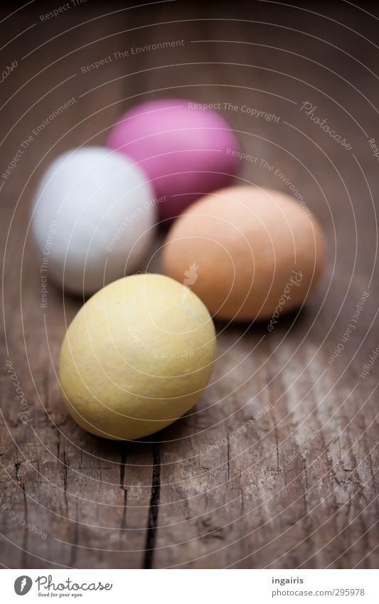 Nachlese Lebensmittel Ei Osterei Ernährung Frühstück Dekoration & Verzierung Ostern Holz rund blau braun gelb orange rosa Stimmung mehrfarbig Farbe Oval