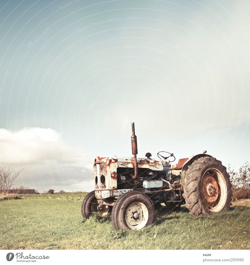 Land Rover Landwirtschaft Forstwirtschaft Maschine Umwelt Natur Himmel Wolken Schönes Wetter Wiese Fahrzeug Traktor Oldtimer Rost alt dreckig hell kaputt
