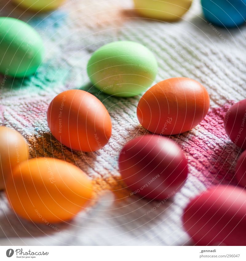 Ei, ist das schön Farbstoff Kreativität mehrfarbig streichen färben Ostern Osterei Handtuch viele Hühnerei Vorbereitung Farbfoto Detailaufnahme Menschenleer Tag