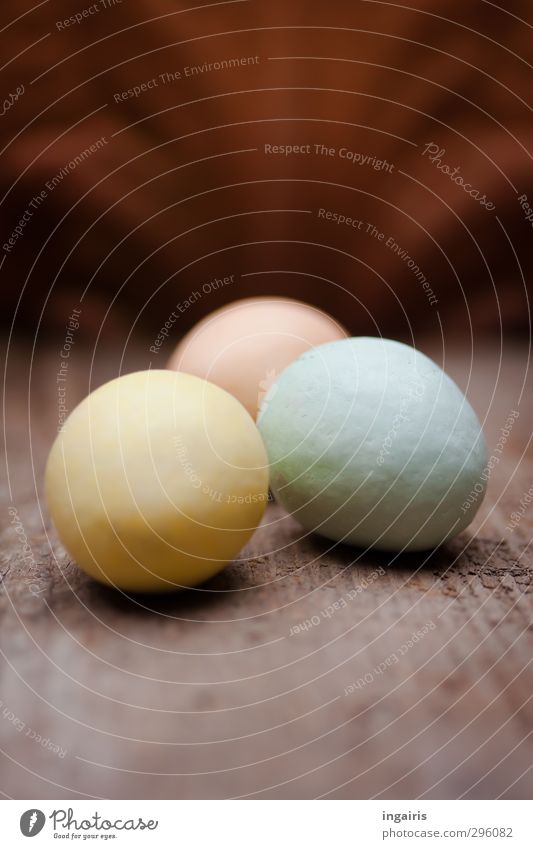 Eiersuche endgültig abgeschlossen! Lebensmittel Osterei Ostern Dekoration & Verzierung Holzbrett blau braun mehrfarbig gelb rosa Stimmung Oval Farbfoto