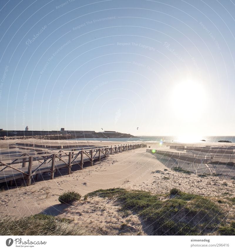 arrived Landschaft Urelemente Sand Wasser Wolkenloser Himmel Horizont Sonnenaufgang Sonnenuntergang Sonnenlicht Sommer Schönes Wetter Strand Meer Zufriedenheit