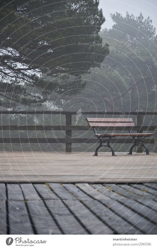 Einsamer Platz Natur schlechtes Wetter atmen Erholung sitzen warten kalt trist braun grau grün ruhig Einsamkeit Zeit Dunst Holz Bank terasse Gedeckte Farben