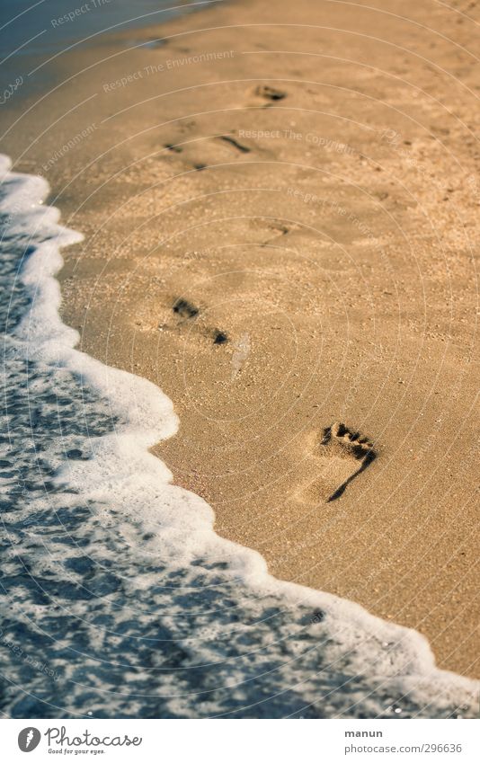 fußgesund Gesundheit Leben Wohlgefühl Zufriedenheit Sinnesorgane Erholung Kur Ferien & Urlaub & Reisen Sommer Sommerurlaub Meer Wellen wandern Natur Sand Wasser