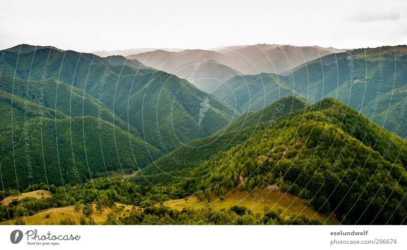 Transylvanien Umwelt Natur Landschaft Pflanze Erde Himmel Wolken Sommer Klima Wetter Wald Hügel Berge u. Gebirge Gipfel Rumänien Europa Menschenleer