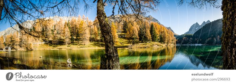 Alpensee im Herbst Umwelt Natur Berge u. Gebirge Vergänglichkeit Engadin Gebirgssee herbstlich Herbstfärbung Farbfoto Außenaufnahme Menschenleer