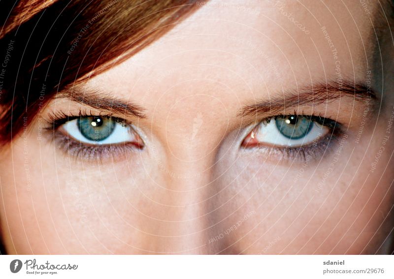 green eye catcher Genauigkeit Präzision Mensch Auge face Gesicht grüne augen Blick