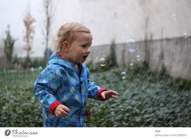 300 bunte seifenblasen Mensch Kleinkind Junge 1 1-3 Jahre Efeu Garten Seifenblase entdecken Spielen Wachstum warten Gefühle Freude Glück Fröhlichkeit Vorfreude