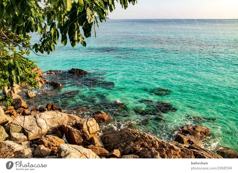 wasserfarben träumen schön türkis Felsen Palme Fernweh traumhaft Paradies Trauminsel perhentian besar Malaysia Asien fantastisch exotisch außergewöhnlich Insel