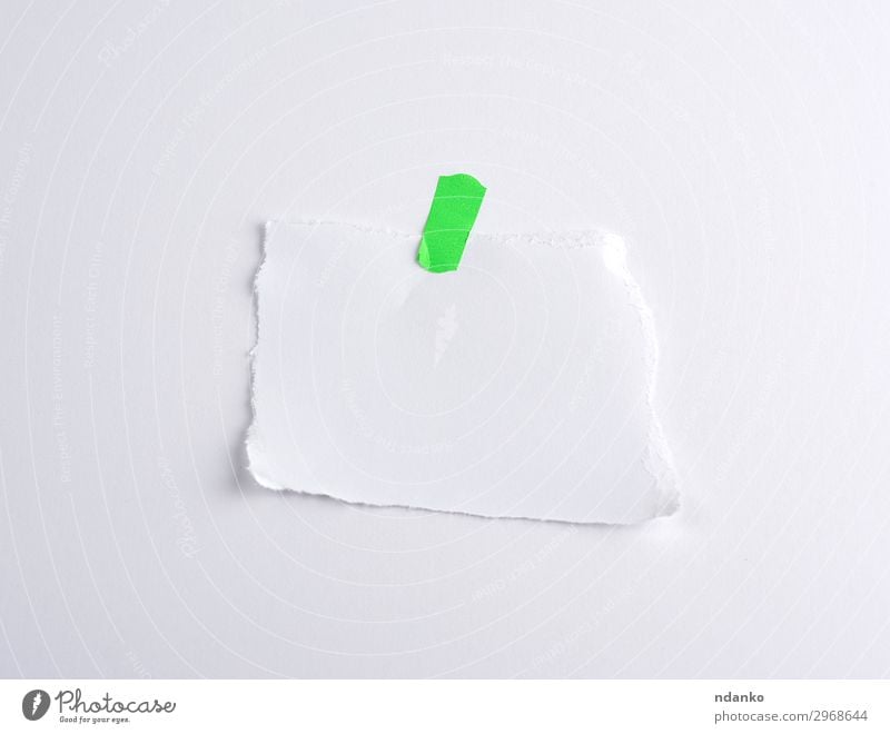 abgerissenes weißes Stück Papier, aufgeklebt auf grünem Klettverschluss Büro Sammlung oben Information Scheitel Element Hintergrund Transparente blanko