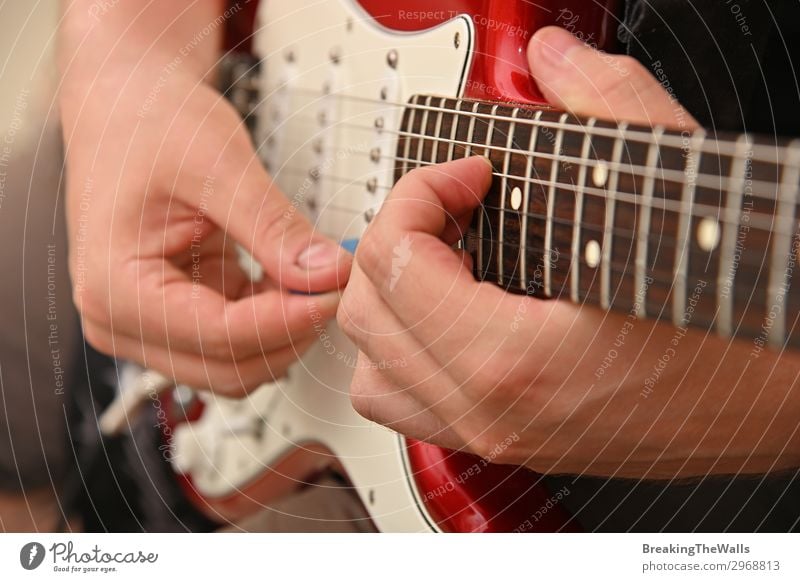 Mann spielt E-Gitarre Freizeit & Hobby Junger Mann Jugendliche Erwachsene 1 Mensch Musik rot Gitarre spielen Gitarrenspieler Musikinstrument Musiker