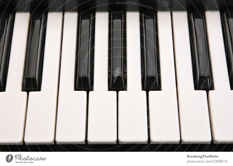 Musikalisches Tastatur-Hintergrundmuster Freizeit & Hobby Kunst Keyboard schwarz weiß Klaviatur Klavier Synthesizer Klavier spielen Musikinstrument Ordnung