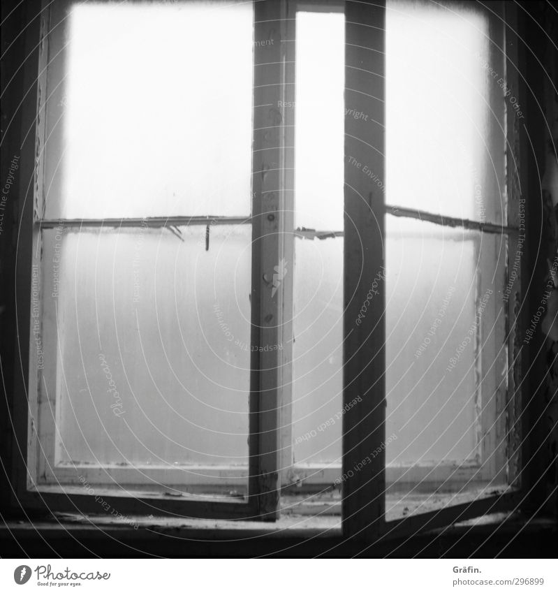 Fenster zum Hof Fabrik Ruine Holz Glas alt dreckig dunkel gruselig kaputt grau schwarz weiß Einsamkeit entdecken geheimnisvoll Verfall Vergangenheit