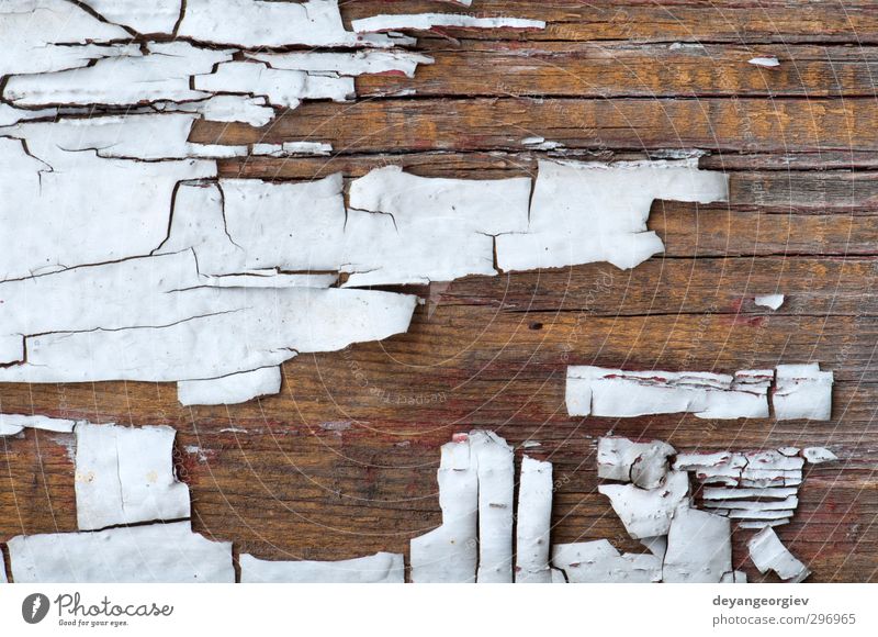 Alter Lackriss auf alten Platten Mauer Wand Holz dreckig grün weiß Konsistenz Farbe Hintergrund hölzern Holzplatte verwittert rau Grunge Riss texturiert