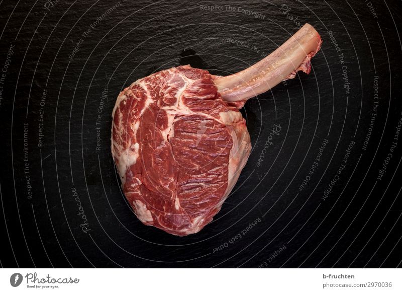 rohes Steak Lebensmittel Fleisch Ernährung Bioprodukte Gesundheit Gesunde Ernährung wählen genießen frisch Rindfleisch Knochen Farbfoto Innenaufnahme