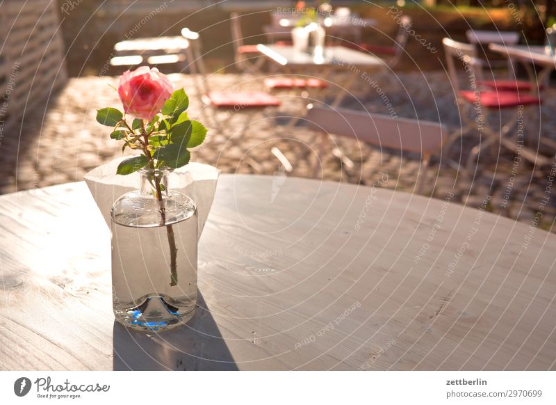 Tisch mit Dekorose Restaurant Kneipe Café Gastronomie Dekoration & Verzierung Rose Vase Blume Blumenvase Menschenleer Textfreiraum Sonne Gegenlicht blenden hell