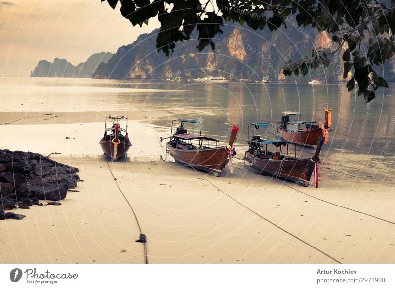 Long Tail Boote in Phi Phi Island, Krabi, Thailand. exotisch schön Erholung ruhig Schwimmen & Baden Freizeit & Hobby Angeln Ferien & Urlaub & Reisen Tourismus