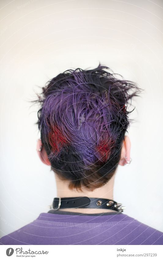 Und wie Du wieder aussiehst...| Zumutung Lifestyle Stil Junge Jugendliche Leben Kopf Haare & Frisuren Rücken 1 Mensch 13-18 Jahre Kind Punk Accessoire Piercing
