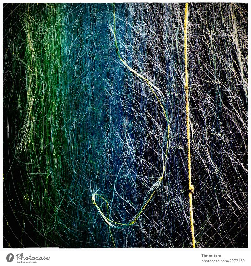 Fischernetze, Teilansicht Ferien & Urlaub & Reisen Dänemark Fischerhütte Netz Kunststoff hängen ästhetisch blau grün schwarz Gefühle trocknen Linie Farbfoto