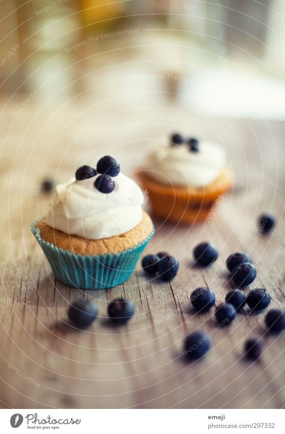 blueberry days Teigwaren Backwaren Kuchen Dessert Süßwaren Ernährung Picknick Fingerfood lecker süß Muffin Cupcake Blaubeeren Farbfoto Innenaufnahme