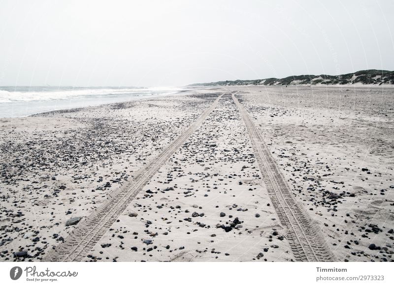 Weiter, immer weiter! Ferien & Urlaub & Reisen Umwelt Natur Landschaft Sand Himmel Strand Nordsee Dänemark Wasser ästhetisch grau Gefühle Einsamkeit Düne