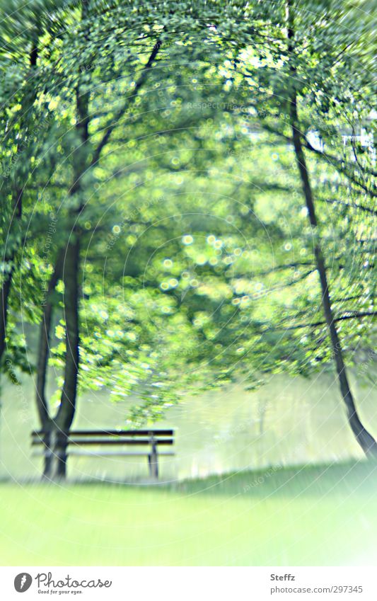 Frühlingserwachen poetisch Naturerwachen im Grünen Sitzplatz Frühlingsbild Frühlingsgefühle Frühlingsfoto grüne Idylle friedlich Pause Teich Park harmonisch