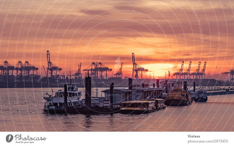 sundown Övelgönne Stadt Hafenstadt Sehenswürdigkeit Wahrzeichen Schifffahrt Binnenschifffahrt Dampfschiff Wasserfahrzeug Anker entdecken