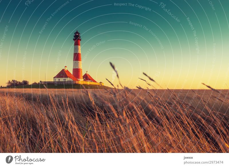 Westerheversand Landschaft Wolkenloser Himmel Horizont Sonnenaufgang Sonnenuntergang Sommer Schönes Wetter Gras Leuchtturm Sehenswürdigkeit alt historisch hoch