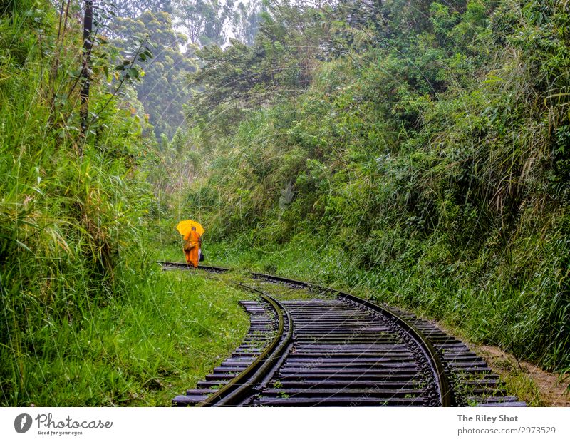 Ein Mönch geht um eine Eisenbahnlinie in Ella, Sri Lanka herum. Lifestyle exotisch Ferien & Urlaub & Reisen Tourismus Ausflug Abenteuer Freiheit wandern