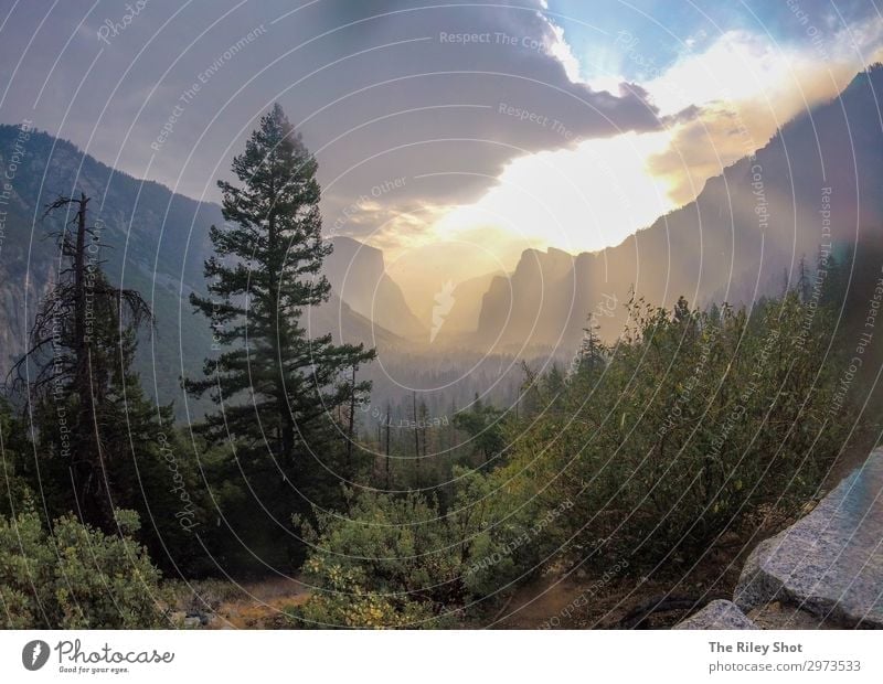 Yosemite Nationalpark bei Sonnenuntergang. schön Ferien & Urlaub & Reisen Tourismus Sommer Berge u. Gebirge Fitness Sport-Training Wissenschaften lernen Kunst