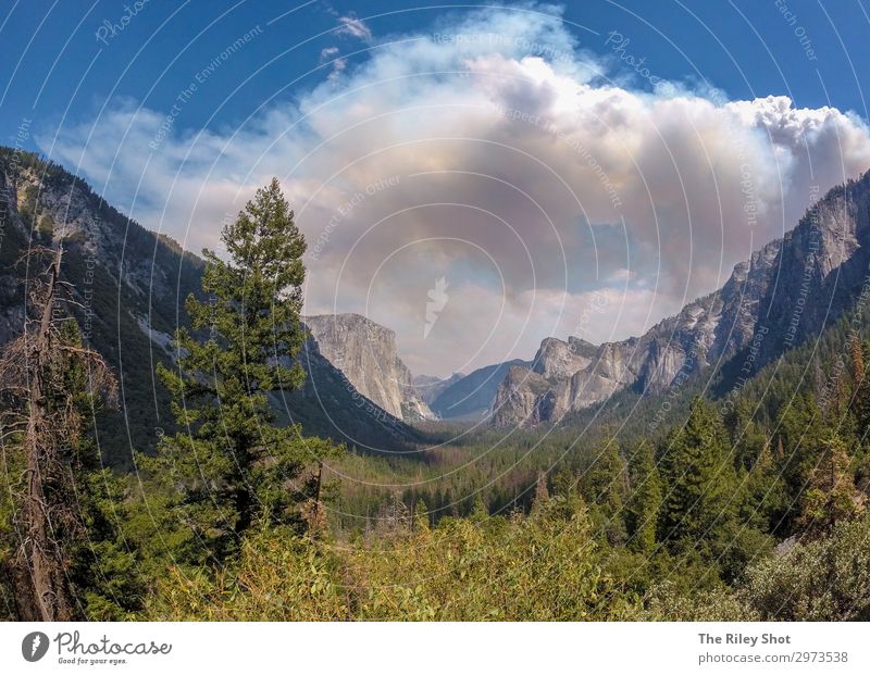Yosemite Nationalpark schön Ferien & Urlaub & Reisen Tourismus Sommer Sonne Berge u. Gebirge wandern Natur Landschaft Urelemente Himmel Wolken Horizont Klima