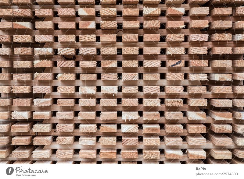 Zum trocknen gestapelte Dachlatten. Holz Maserung Jahresringe Moos Abstrakt Zerfall verwittert Holzwirtschaft Landwirtschaft Brennholz Baumstupf Natur wallpaper